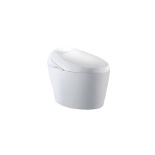 High end European standard water pressure and temperature adjustment specialized toilets with warm automatic toilet seat